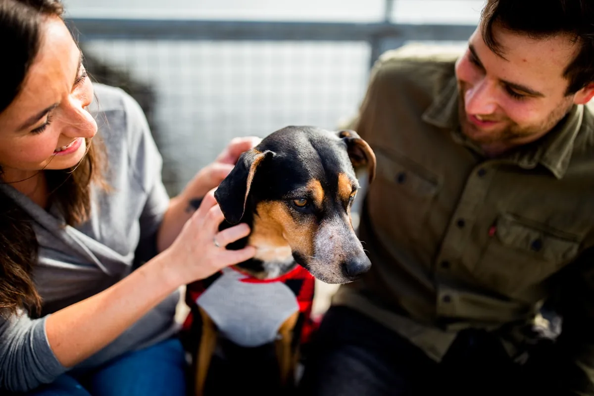 A couple meeting and holding a dog they are adopting